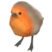 bird from tf2 (real) avatar