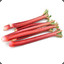 photovoltaic rhubarb