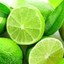 Lime&lt;3