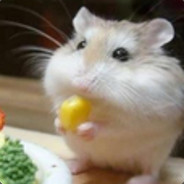 逗比王子小逗逗