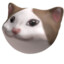 Pop cat