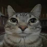Avatar snapshot