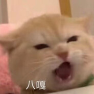 成了？成了？！道爷我成了！