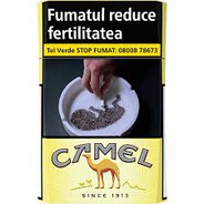 KamelKratkiŽuti