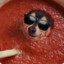 Soup Dog