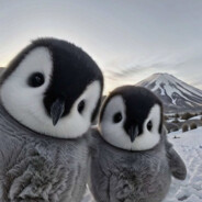 风起人散情未终