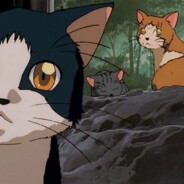 我是一只猫