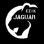 EZİK~JAGUAR