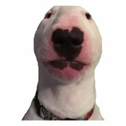 qb avatar