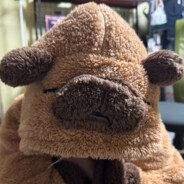 鲁东大学教务处