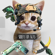 SODENS SDN SKINS