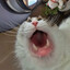 Pudge