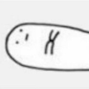 队友捡牌子七进七出，