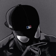 L 1 p Z