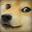 RoyaL Doge
