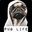 I&#039;m Pug B*TCH!