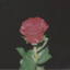 pwT's avatar