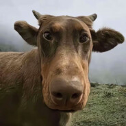 你妈逼螺旋升天