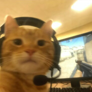 Маленький пп-лучн