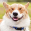 Fortuity_Is_God