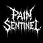 PAIN SENTINEL