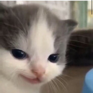 𝕞𝕒𝕣𝕦𝕤𝕪𝕒♡
