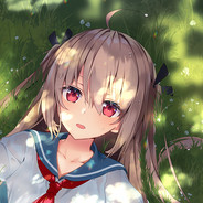 电脑玩家特朗普