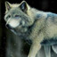 WinterWolf