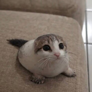 vurrau