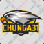 chunga31