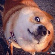 天王盖地虎 小鸡炖蘑菇