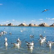 马+7和雨姐拍iiii被王源偷拍给娜艺娜看