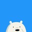 We Bare Bears