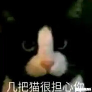 几把毛在单行你