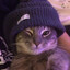 𝐌𝐎𝐁𝐁𝐘𝐍