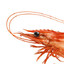 shrimply
