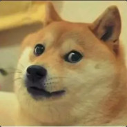 Doge