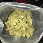 remyjd_