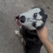 我是Return的简称Run