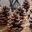 ThePinecone