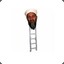Osama bin Ladder