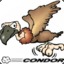 Condor