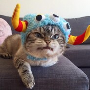 Steam Community Avatar