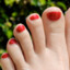 ♥ TOES ♥