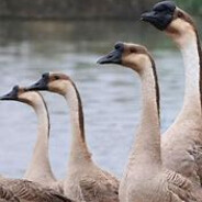 宇宙超级无敌美少女