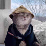 哈哈不过如此^^