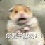 0zzsy0