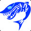 Barracuda