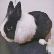 市南第一钓鱼王