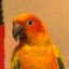 KileKson
